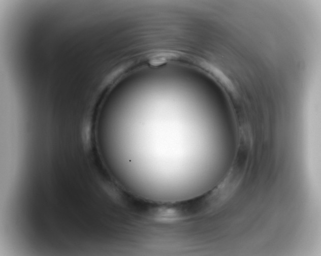 X0000099960159200805231347