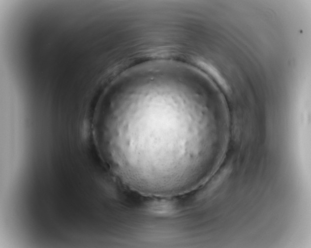X0000099960161200805231347