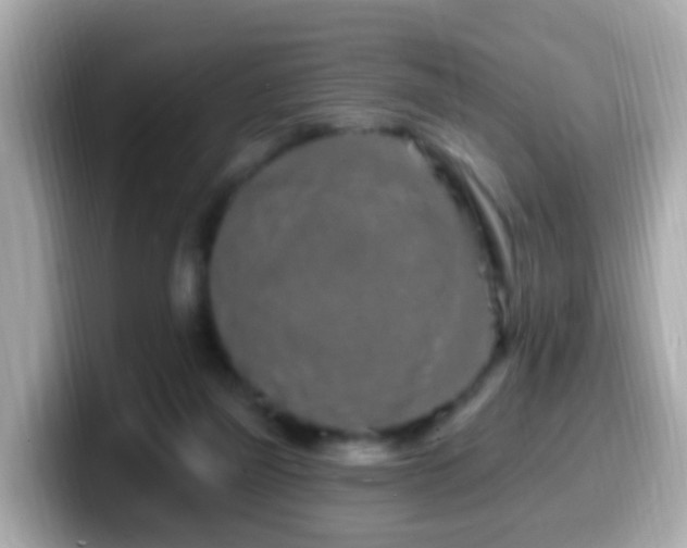 X0000099960165200805231347