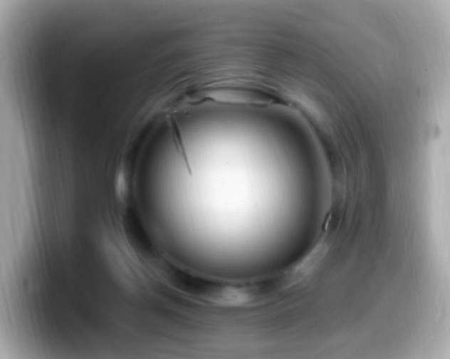 X0000099960166200805231347