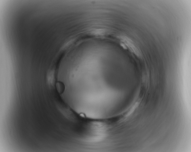 X0000099960167200805231347