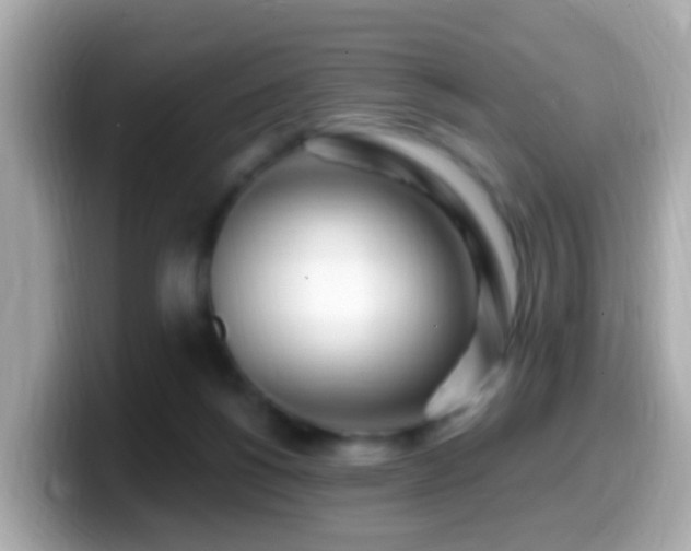 X0000099960168200805231348