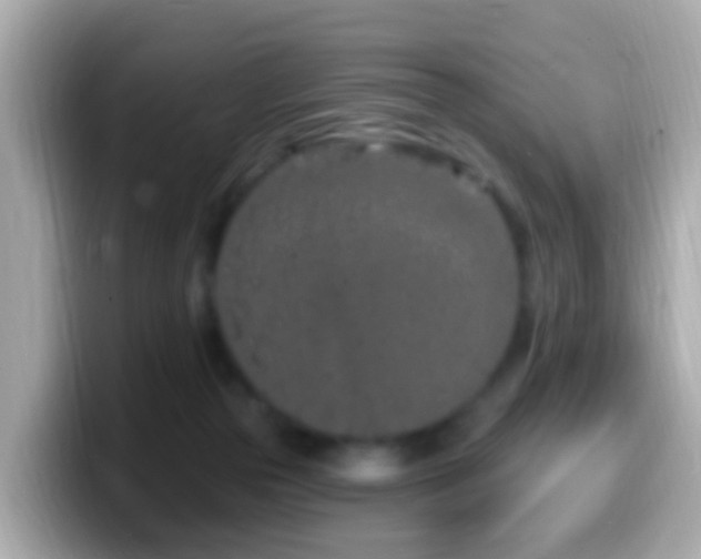 X0000099960169200805231348