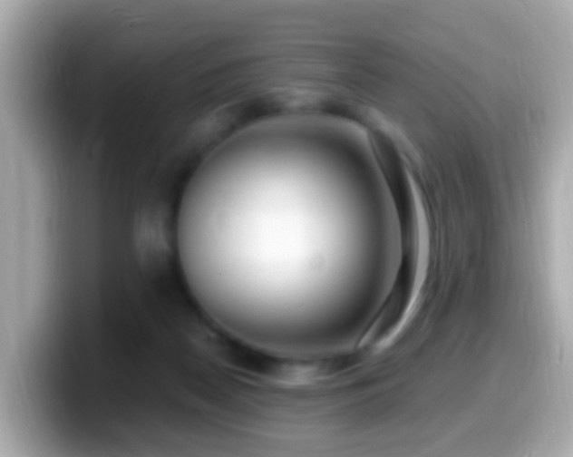 X0000099960170200805231348