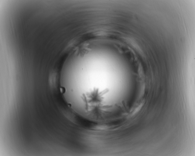 X0000099960171200805231348