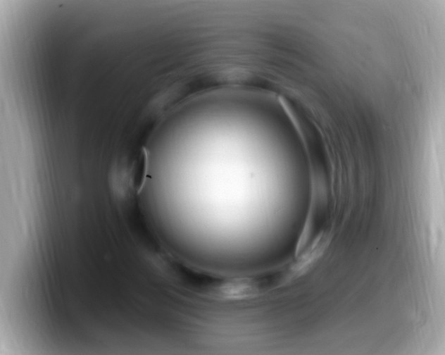 X0000099960172200805231348