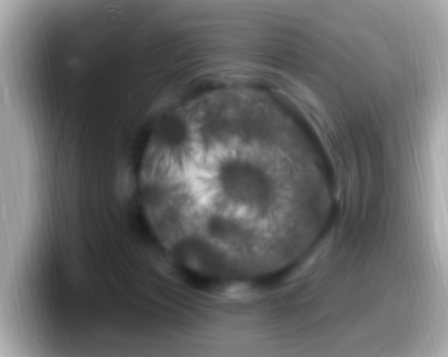 X0000099960173200805231348