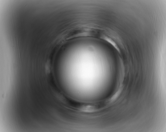 X0000099960174200805231348