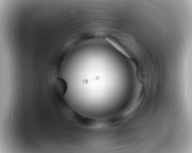X0000099960175200805231348