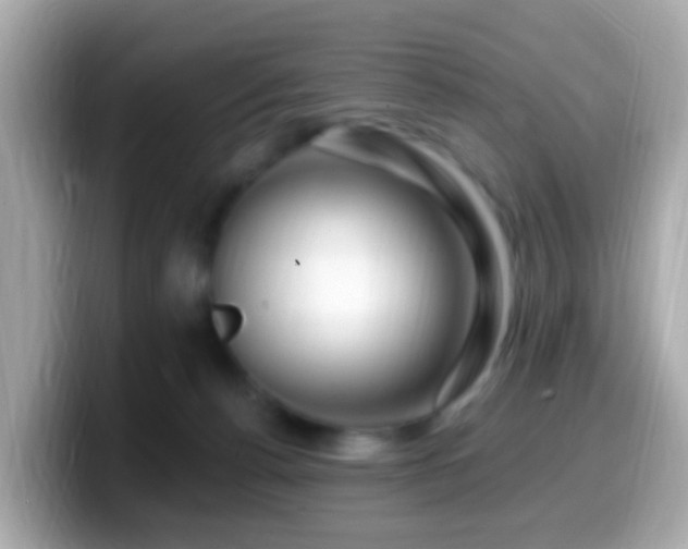 X0000099960176200805231348