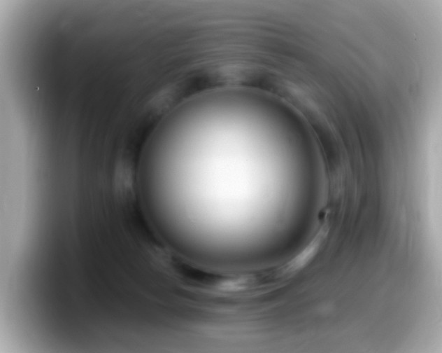 X0000099960178200805231348