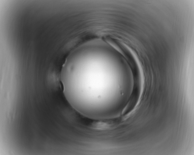 X0000099960180200805231348