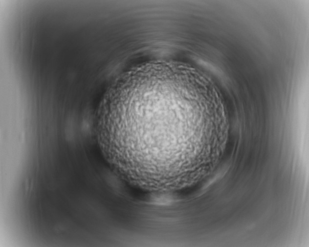 X0000099960181200805231348