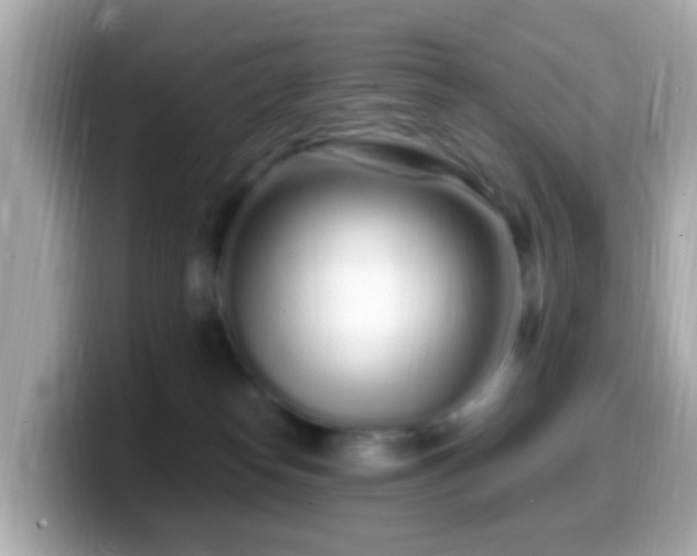 X0000099960182200805231348