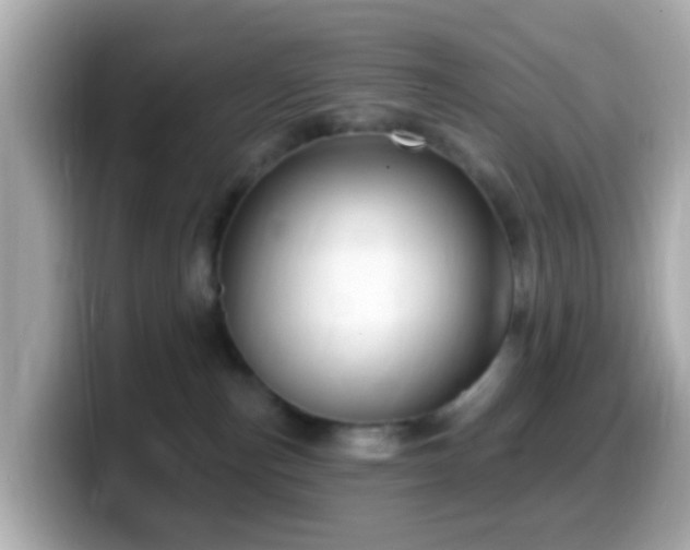 X0000099960187200805231348