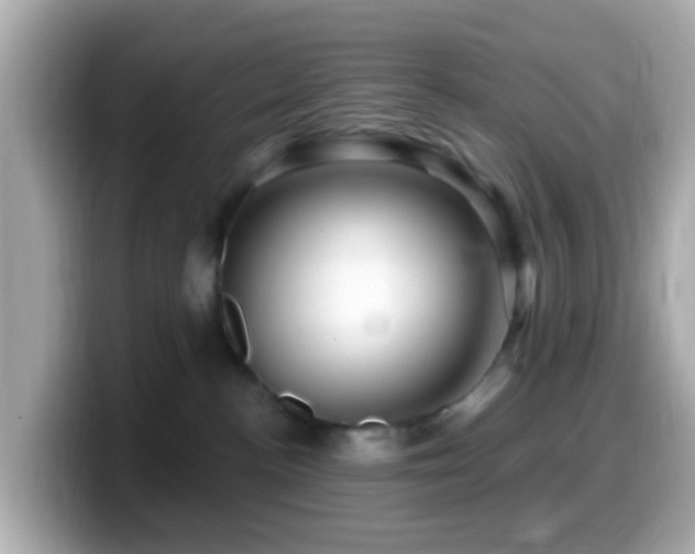 X0000099960188200805231348
