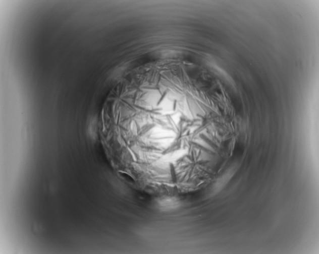 X0000099960189200805231348