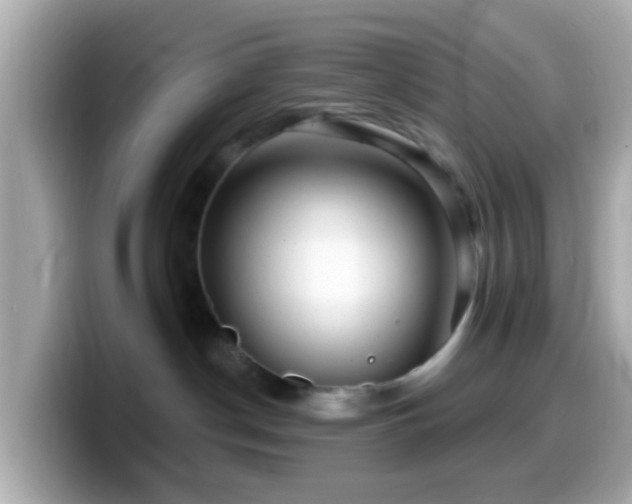 X0000099960190200805231348