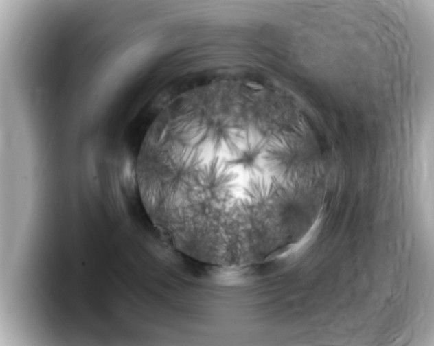 X0000099960191200805231348