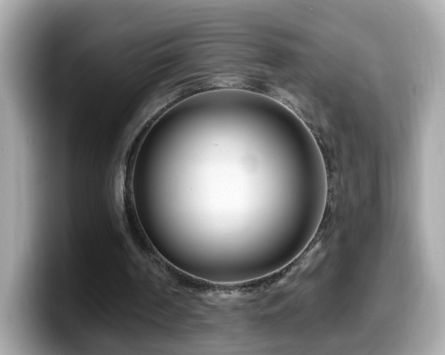 X0000099960194200805231347
