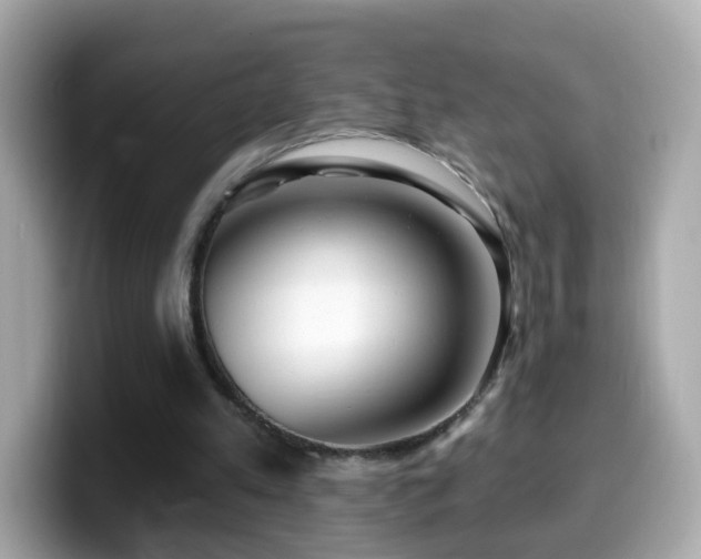 X0000099960197200805231347