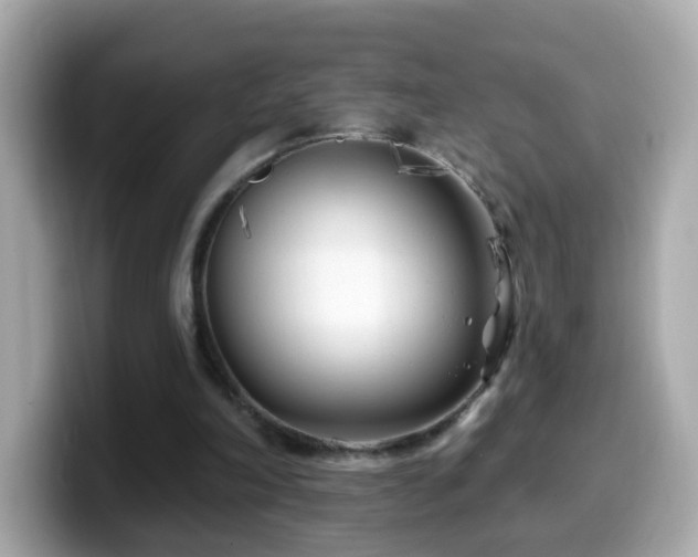 X0000099960198200805231347