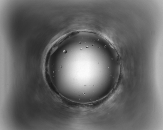 X0000099960199200805231347