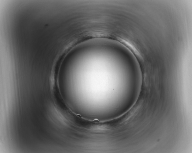 X0000099960202200805231347