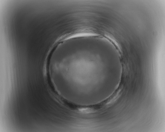X0000099960203200805231347