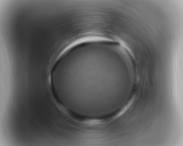 X0000099960205200805231347
