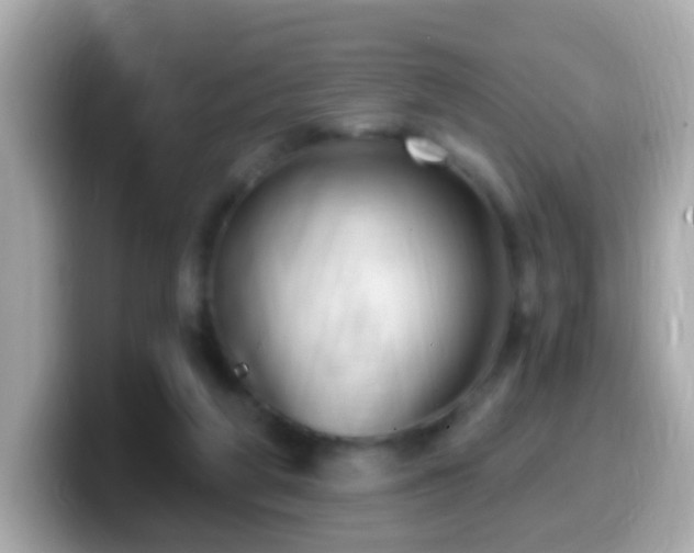 X0000099960210200805231347