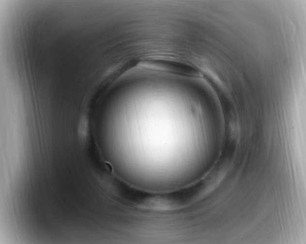 X0000099960211200805231347