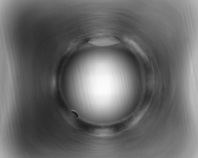 X0000099960213200805231347