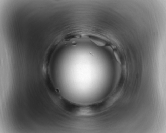 X0000099960214200805231347
