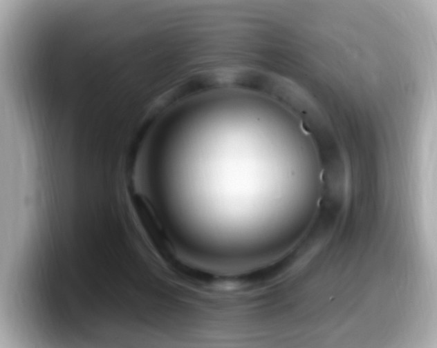 X0000099960216200805231347