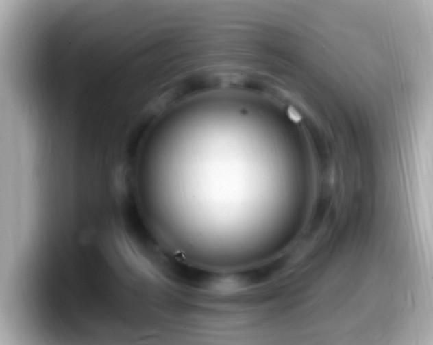 X0000099960218200805231347