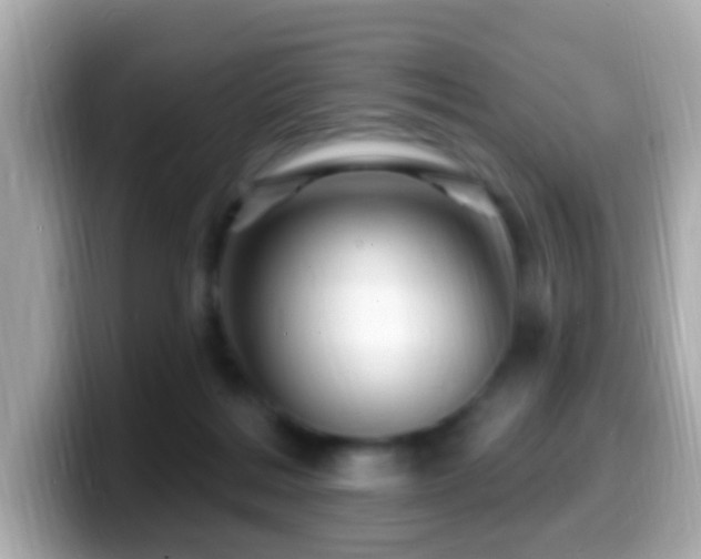X0000099960220200805231347