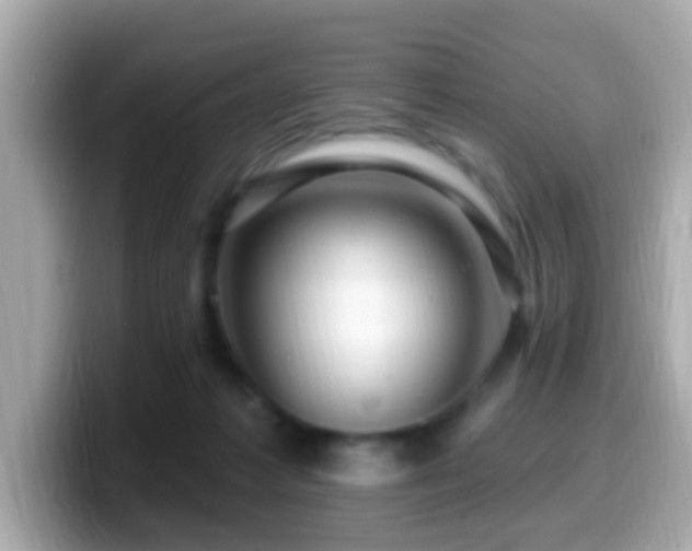 X0000099960221200805231347