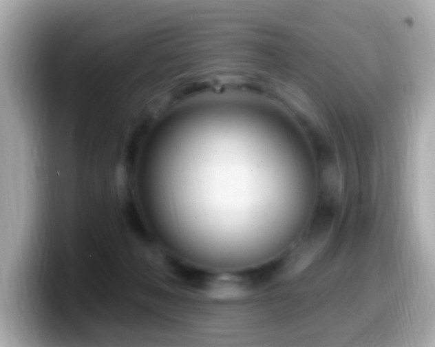 X0000099960222200805231347
