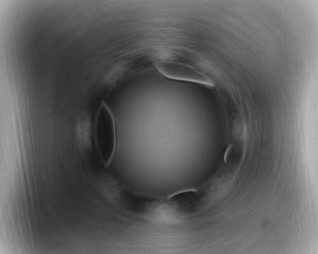 X0000099960223200805231347