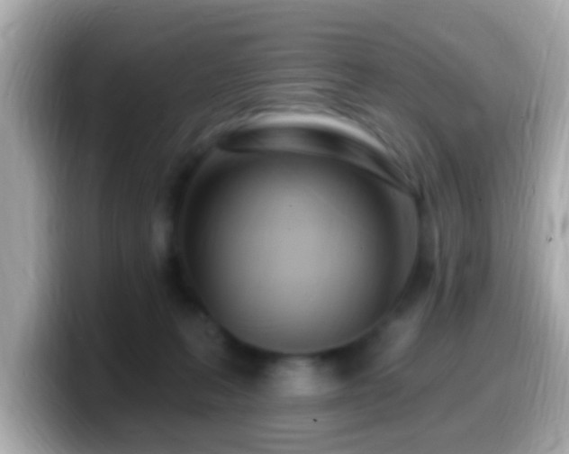 X0000099960227200805231347