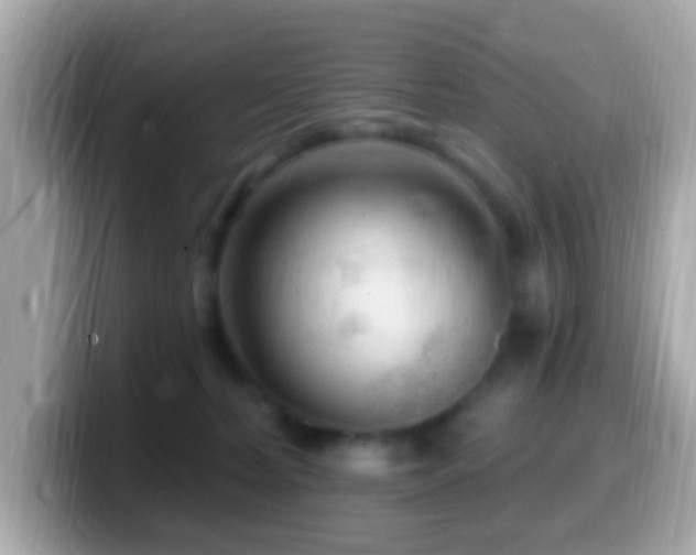 X0000099960228200805231347