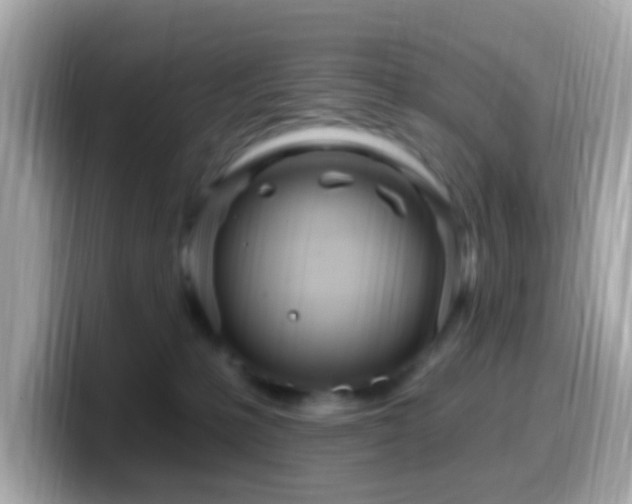 X0000099960231200805231347