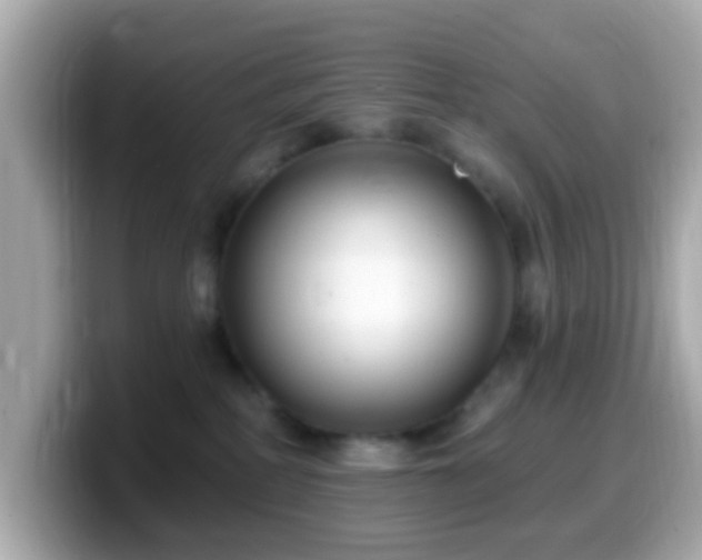 X0000099960234200805231347