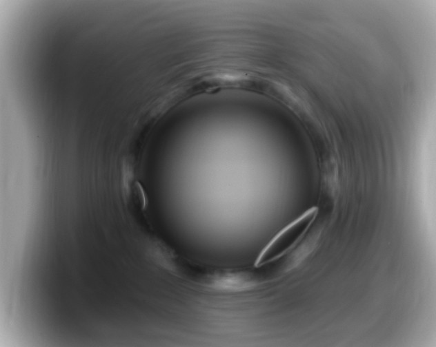 X0000099960235200805231347