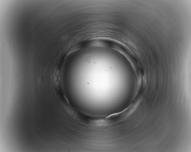 X0000099960237200805231347