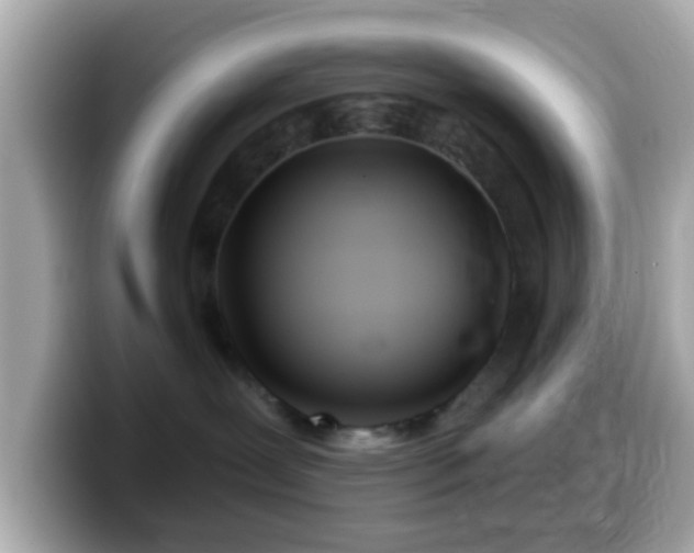X0000099960239200805231347