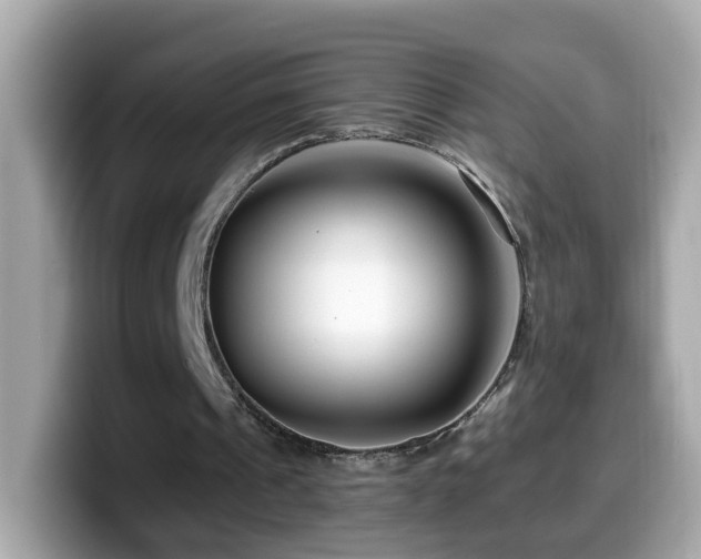 X0000099960241200805231346
