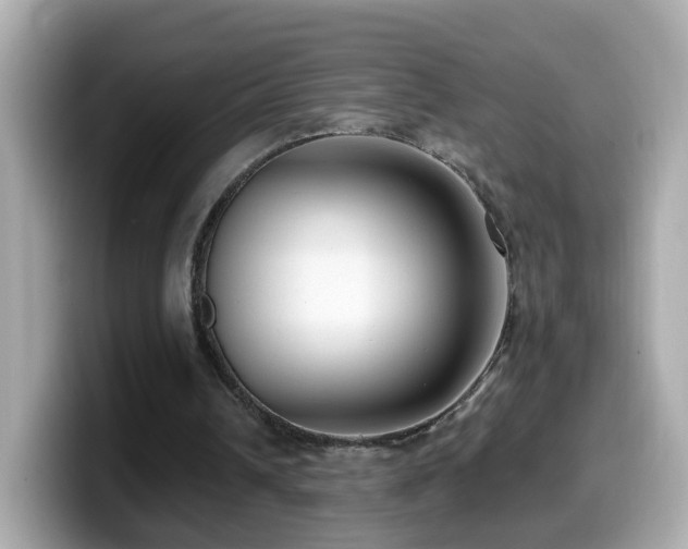 X0000099960242200805231346