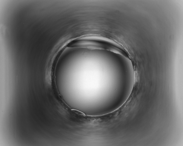 X0000099960243200805231346